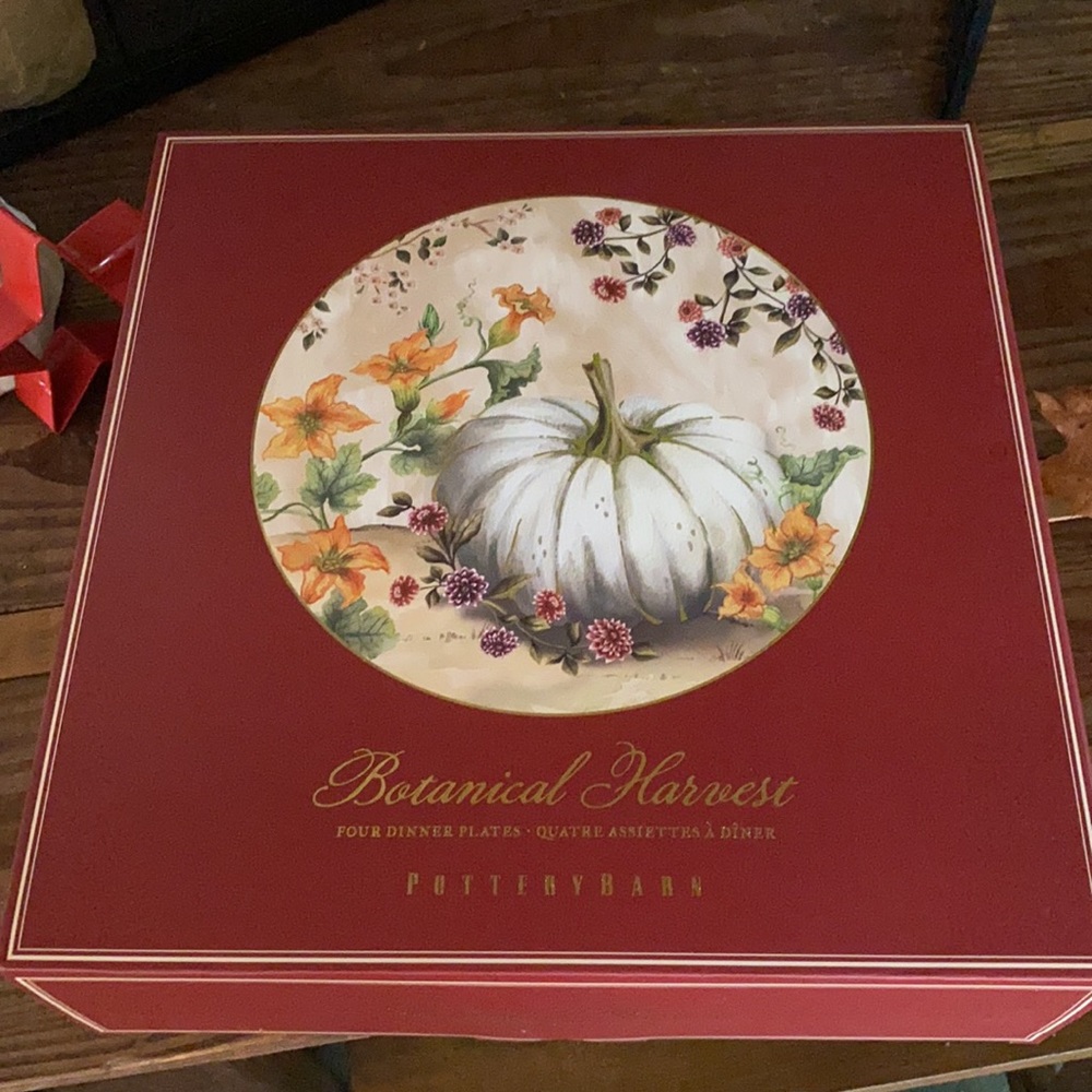 Pottery Barn Botanical Harvest Pumpkin Stoneware Dinner Plates - Set Of 4 - Picture 3 of 16